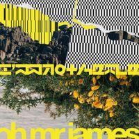 Oh Mr James - I'm Not Here