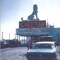 Dominyka Mauliute - Cheetah '67