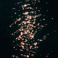 The Moss - Big Blue Moon