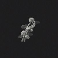 JVKE - A Thousand Years (Cinematic Version)
