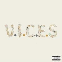 Da$H - V.I.C.E.S (Very Ignorant Content Exposing Success)