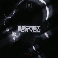 Oliverse - Secret For You