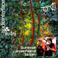 audiointerface - Summer anarchisms bloom