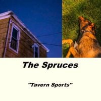 The Spruces - Tavern Sports