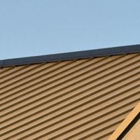 Brayden Canizo - Song About Roofs
