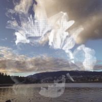 Lush Heart - Boundless Home
