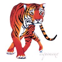 Esquimaux - Tiger