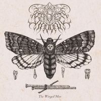 Banshee Moon - The Winged Man
