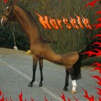 horse ass glue stain records - horse 3: You go 20%