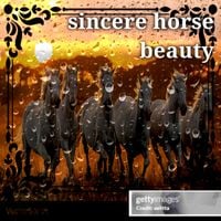 horse ass glue stain records - horse 7: sincere horse beauty