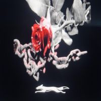 amil raja - decay