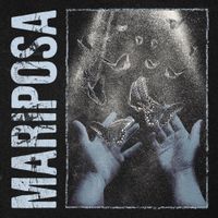 Stray View - Mariposa