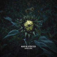 Martin Stürtzer - Auralume