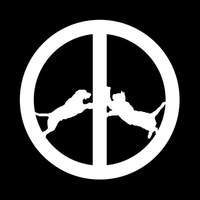 Hype Williams - Tijuana Haze #1