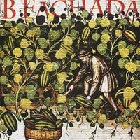 B Fachada - B Fachada