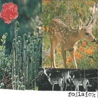Foilsick - Oh, Dear