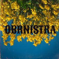 Vojko V - OBRNISTRA