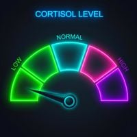 BENJIxScarlett - Low Cortisol Meme Song