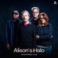 Alison's Halo - Alison's Halo on Audiotree Live