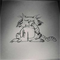 Feral Cat - doth the sun set for she