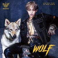 WOOSUNG - Wolf
