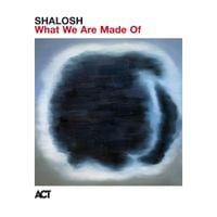 SHALOSH - What We Are Made Of