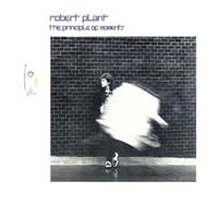 Robert Plant - The Principle of Moments