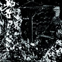 Fentanyl - Fentanyl