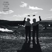 Pink Floyd - The Later Years 1987&ndash;2019
