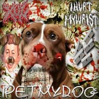 Xul - IPETMYDOG