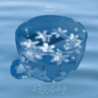 奶盖儿 [MilkGuard] - 消失在水中