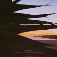 Seizures - Reverie of the Revolving Diamond