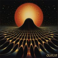 FerroFluid - Obscura