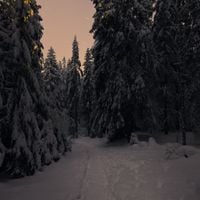 TOGIYO - AS THE COLD, IT DOES NOT PROGRESS