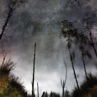 Chihei Hatakeyama - Ghost Woods