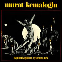 Murat Kemalooğlu - Kaplumbağaların Uykusuna Dek