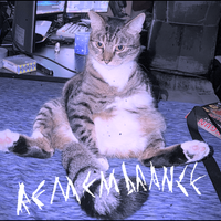 genvamp - Remembrance