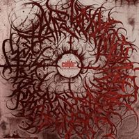 Cellar. - Retrogression