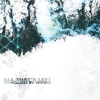 Tangled In Wires - All That&rsquo;s Left