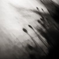 Ocaso - Projecto Ocaso