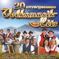 Various Artists - 20 Unvergessliche Volksmusik-hits