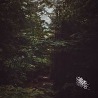 Marty Hicks - The Elia Passages