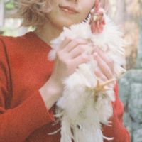 appi - Red Comb