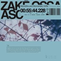 zak&egrave; - Microliths and Momentary Drifts