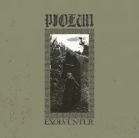 Piołun - Exolvuntur