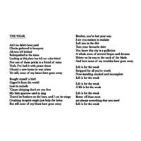 Iceage - The Weak
