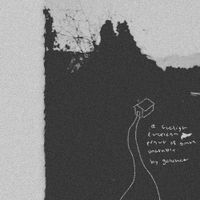goosechase - A Foolish & Hopeless Pursuit of Something Unattainable