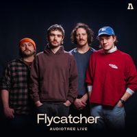 Flycatcher - Flycatcher on Audiotree Live