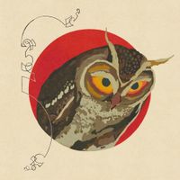 Hashir - FORTUNE