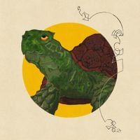 Hashir - SLOWPOKE
